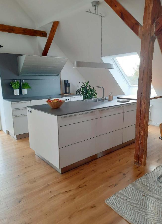 Luxurioeses Loft Mit Schoenem Blick Tremsbüttel Extérieur photo