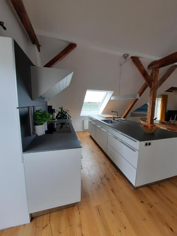 Luxurioeses Loft Mit Schoenem Blick Tremsbüttel Extérieur photo